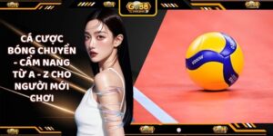 Cá cược bóng chuyền