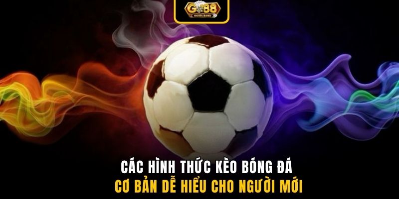 Các hình thức kèo bóng đá cơ bản dễ hiểu cho người mới