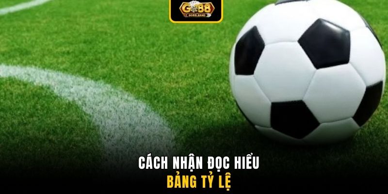 Cách nhận đọc hiểu bảng tỷ lệ