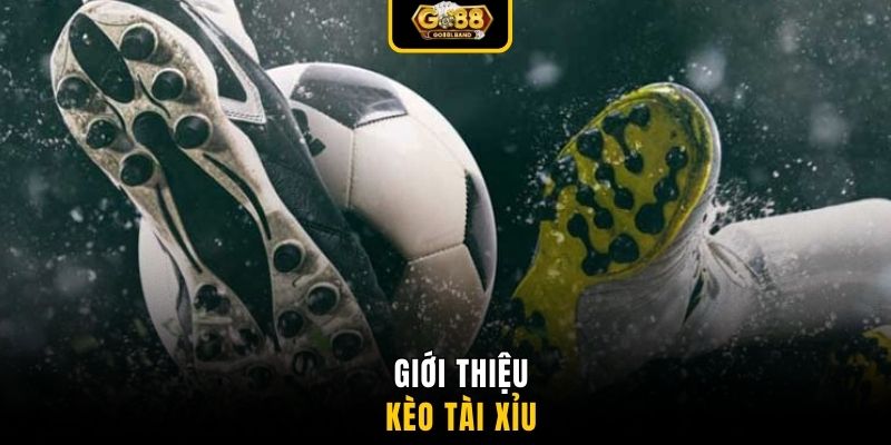 Giới thiệu kèo tài xỉu