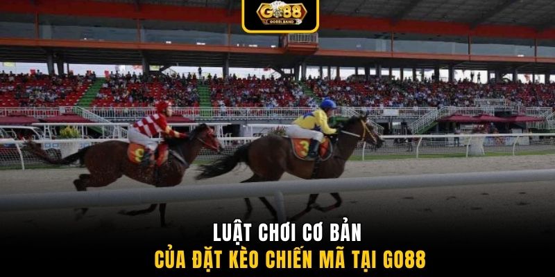 Luật chơi cơ bản của đặt kèo chiến mã tại GO88