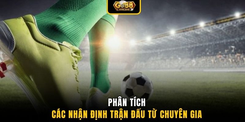 Phân tích các nhận định trận đấu từ chuyên gia