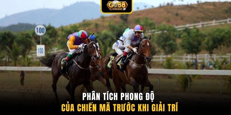 Phân tích phong độ của chiến mã trước khi giải trí
