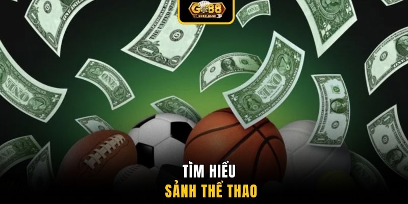 Tìm hiểu sảnh thể thao
