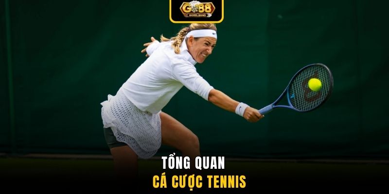 Tổng quan cá cược tennis