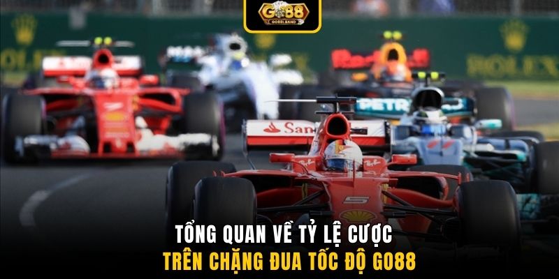 Tổng quan về tỷ lệ cược trên chặng đua tốc độ GO88